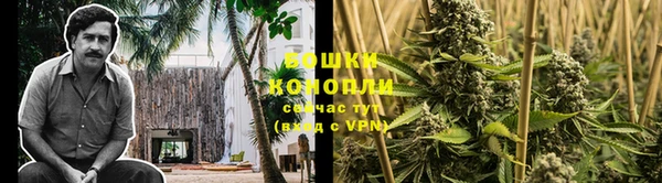 эйфоретик Осташков