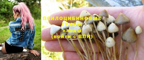 прущие грибы Лихославль