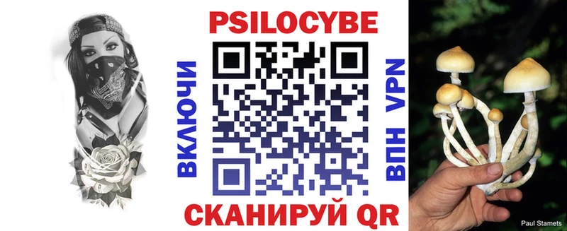 Галлюциногенные грибы мухоморы  Сухой Лог 