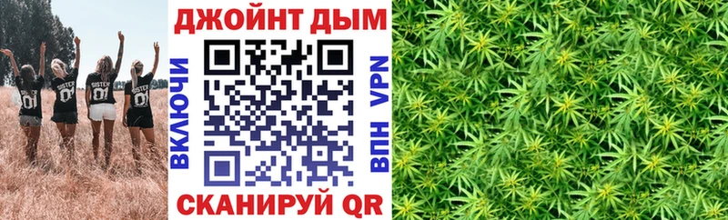 kraken   Сухой Лог  Бошки марихуана план  наркота 